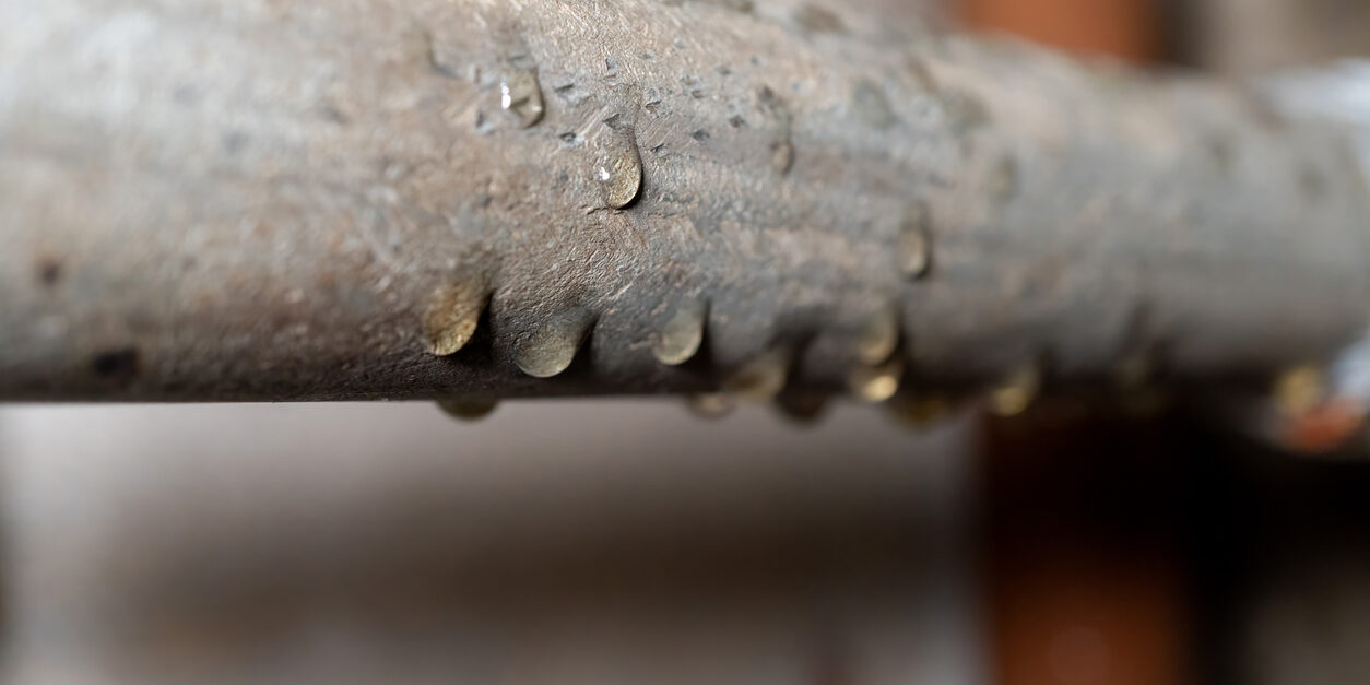 close up of water droplets on metal pipe surface indicating moisture and condensation A close-up shot of a corroded pipe with water droplets accumulating on its underside, illustrating the need for AC repair by JC Melton.