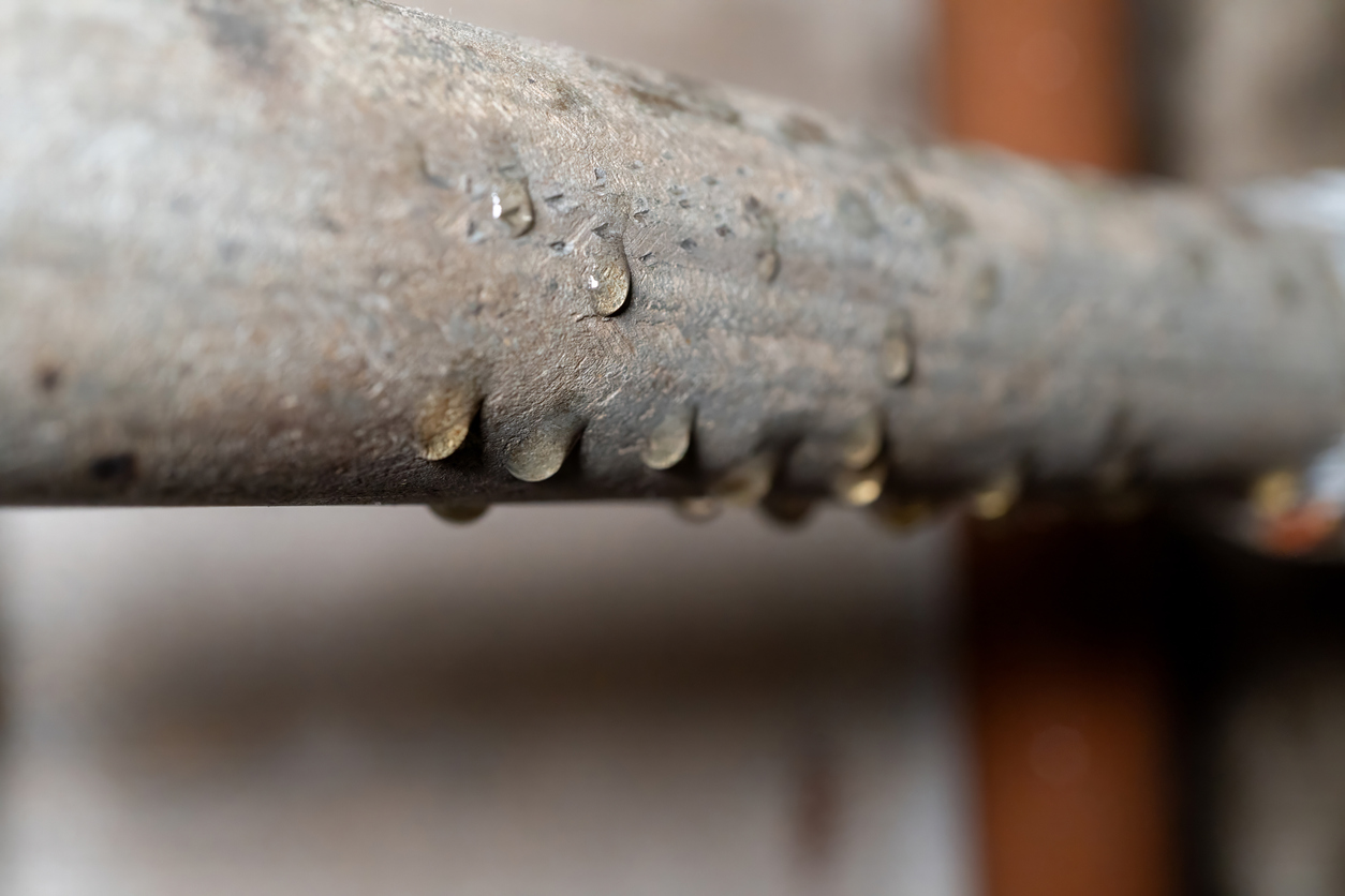 close up of water droplets on metal pipe surface indicating moisture and condensation A close-up shot of a corroded pipe with water droplets accumulating on its underside, illustrating the need for AC repair by JC Melton.