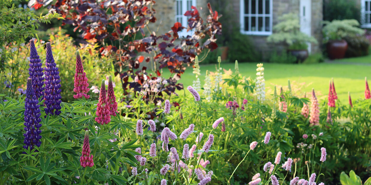 countryside cottage garden with a bed of colourful flowers